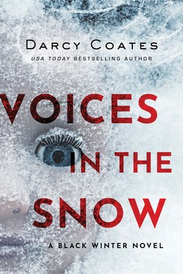 Voices in the Snow foto