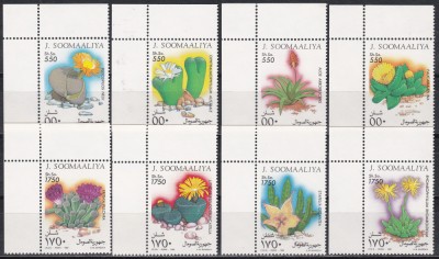 Somalia 1995 - Cactusi, MNH foto