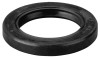 REMS Semering 060309 ProAdvanced PowerfulTools