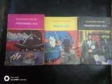 Trandafirul alb-Pescarusul alb-Ingerul alb-Constantin Chirita