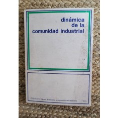 DIN&Aacute;MICA DE LA COMUNIDAD INDUSTRIAL