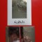 RAS AL KHAIMA, SPACE KENNEDY - MNH SILVER PERF./IMPERF.