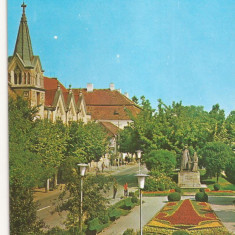 RF8 -Carte Postala- Targu Mures, Piata Bolay, necirculata