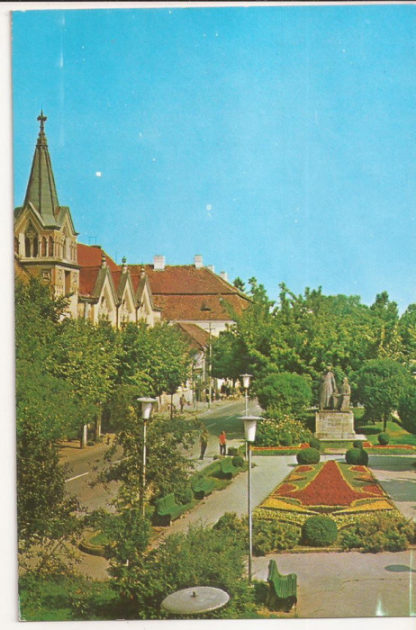 RF8 -Carte Postala- Targu Mures, Piata Bolay, necirculata