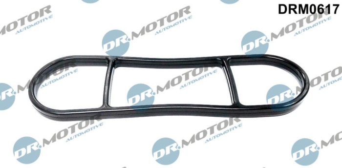 Garnituri, Carcasa Filtru Ulei 255926 DRM0617