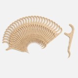 Periute Interdentare Tip Scobitori, 50 buc, CMCLASS