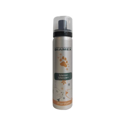 Diamex Parfum Melon - 100 ml foto
