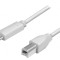 Cablu USB 2.0 USB B la USB C 2m Gri