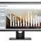 Monitor DELL, model: E2416HB; 24&amp;quot;; SH