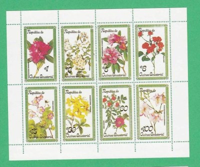 Eq. Guinea 1979 Flowers - unused perforated block F.005 foto