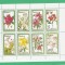 Eq. Guinea 1979 Flowers - unused perforated block F.005