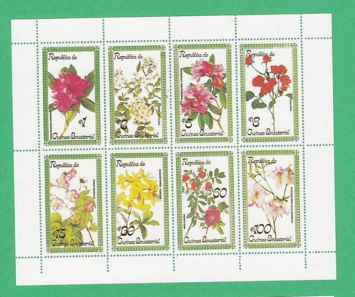 Eq. Guinea 1979 Flowers - unused perforated block F.005