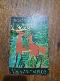Instantanee din viata animalelor - Ionel Pop, vanatoare / R2P4S