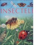 Insectele pe intelesul copiilor - Emilie Beaumont, Marie-Christine Lemayeur, Bernard Alunni