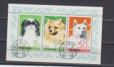 A10 YC 31 - Colita foarte veche - Coreea de nord - caini de rasa - bloc, Fauna, Stampilat