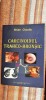 CARCINOIDUL TRAHEO BRONSIC - NISTOR CLAUDIU EDITURA UNIVERSITARA CAROL DAVILA, 2008