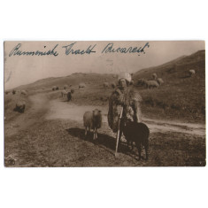 1922 - București, păstor - vedere circulata