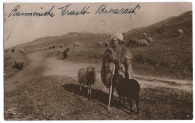 1922 - București, păstor - vedere circulata foto