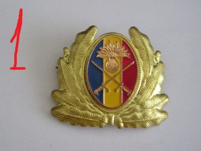 QW14 - Emblema militara / cuc - uscat - anii 1990 - piesa de colectie foto
