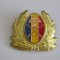 QW14 - Emblema militara / cuc - uscat - anii 1990 - piesa de colectie