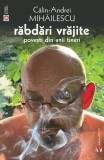 Răbdări vrăjite - Paperback brosat - Călin-Andrei Mihăilescu - Vremea
