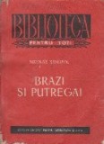 Brazi si Putregai - Moravuri Provinciale