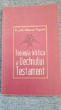 Athanase Negoita - Teologia biblica a Vechiului Testament
