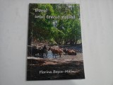 DORUL UNUI TRECUT POSIBIL - FLORINA BOSCA-MALIN