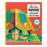 Tortoise and Friends