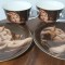 Pereche de cesti cafea / ceai , portelan fin , decor ingeri