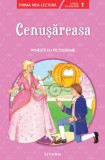 Cenusareasa. Poveste cu pictograme |, Litera