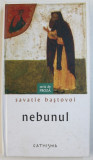 NEBUNUL de SAVATIE BASTOVOI , 2007