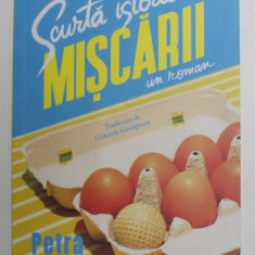 SCURTA ISTORIE A MISCARII , un roman de PETRA HULOVA , 2022