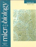 Microbiology - Volum Decembrie 1995, Editura Society for General Microbiology, Stare Buna, 300 Pagini, Editie Veche