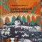 PITORESCUL ROMANIEI-ION SIMIONESCU-252108