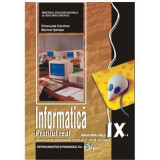 Informatica, manual pentru clasa a 9-a, profilul real. Specializarea matematica-informatica, stiinte ale naturii - Emanuela Cerchez