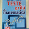 Teste grila de matematica Rodica Danet, Lucian Nita