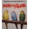 Eugen Megelea - Ingrijirea corespunzatoare a perusilor (Editia: 2004)
