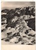 CPIB 22498 - CARTE POSTALA - MUNTII FAGARASULUI. VALEA PODAGRUL, RPR, 1959, Circulata, Fotografie