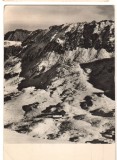 CPIB 22498 - CARTE POSTALA - MUNTII FAGARASULUI. VALEA PODAGRUL, RPR, 1959, Circulata, Fotografie