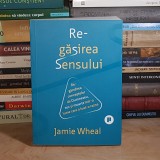 JAMIE WHEAL - REGASIREA SENSULUI : REGANDIREA CONCEPTELOR DE DUMNEZEU , SEX SI MOARTE , 2022 *