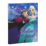 Dosar Anna si Elsa cu elastic, Jad
