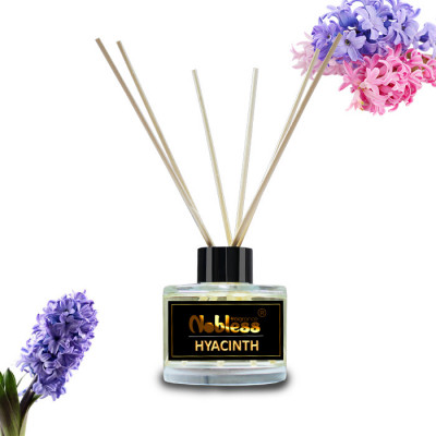 Odorizant cu betisoare Nobless 100 ml Hyacinth foto