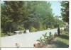 Carte postala -TELEORMAN-Rosiorii de Vede -Parcul N.Balcescu, Circulata, Printata