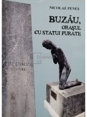 Nicolae Penes - Buzau, orasul cu statui furate (Editia: 2020) foto