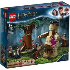 LEGO Harry Potter 75967 Forbidden Forest: Umbridges Enc. 253 piese foto