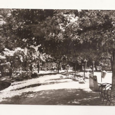 RF35 -Carte Postala- Craiova, Parcul Poporului, necirculata