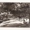 RF35 -Carte Postala- Craiova, Parcul Poporului, necirculata