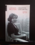 Creștetul ghețarului - JURNAL 1969-1971- Constanța Buzea