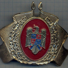 AX 54 INSIGNA MILITARA- EMBLEMA COIFURA POMPIERI, ANII '90 -PT.COLECTIONARI